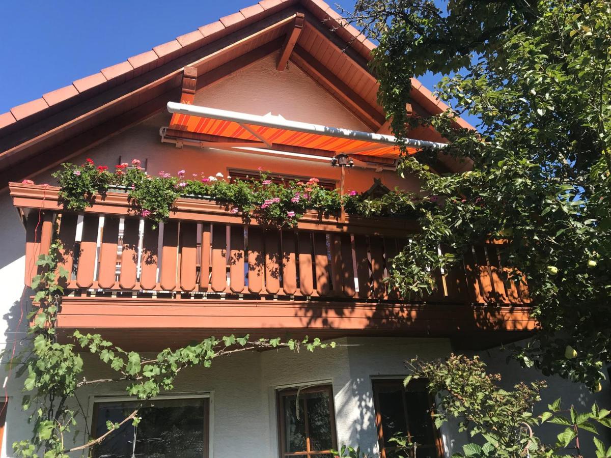 Fewo Judith Freital Exterior photo